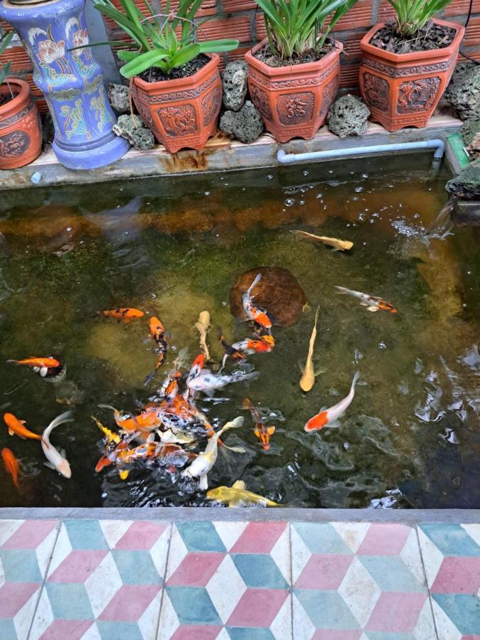 Giong Tu Dien Hoa Lan Motel & Homestay מראה חיצוני תמונה